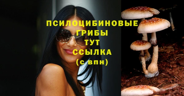 наркотики Богданович
