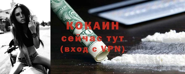 стаф Богородицк