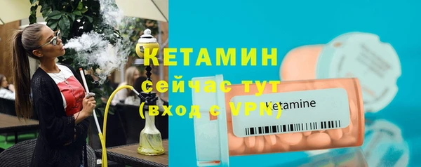 стаф Богородицк