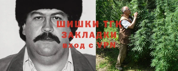 стаф Богородицк