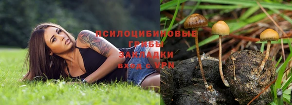наркотики Богданович
