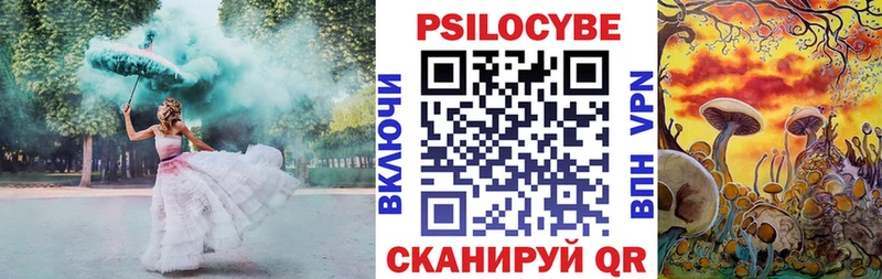 Псилоцибиновые грибы Psilocybe  Ейск 